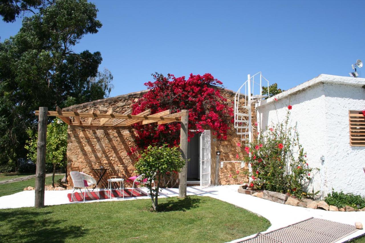 Le Rondini Bed & Breakfast Montrás Dış mekan fotoğraf