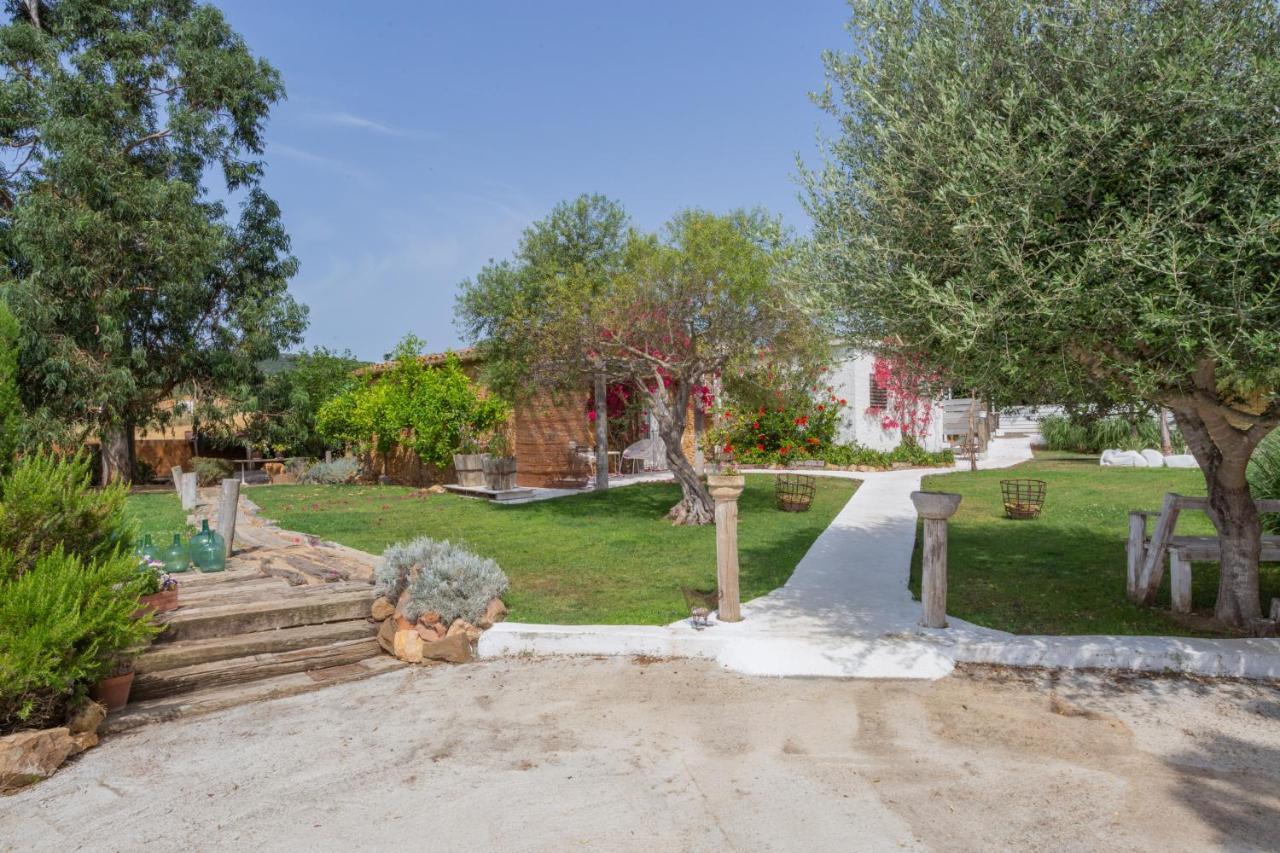 Le Rondini Bed & Breakfast Montrás Dış mekan fotoğraf