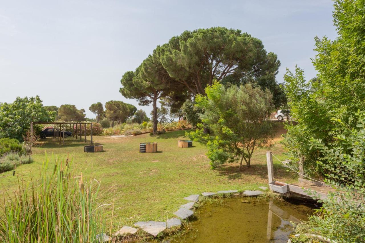 Le Rondini Bed & Breakfast Montrás Dış mekan fotoğraf