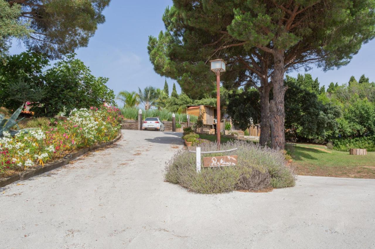 Le Rondini Bed & Breakfast Montrás Dış mekan fotoğraf